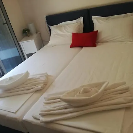 Athina فيلة Angon