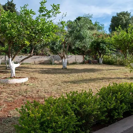 Βίλα Athina Angon